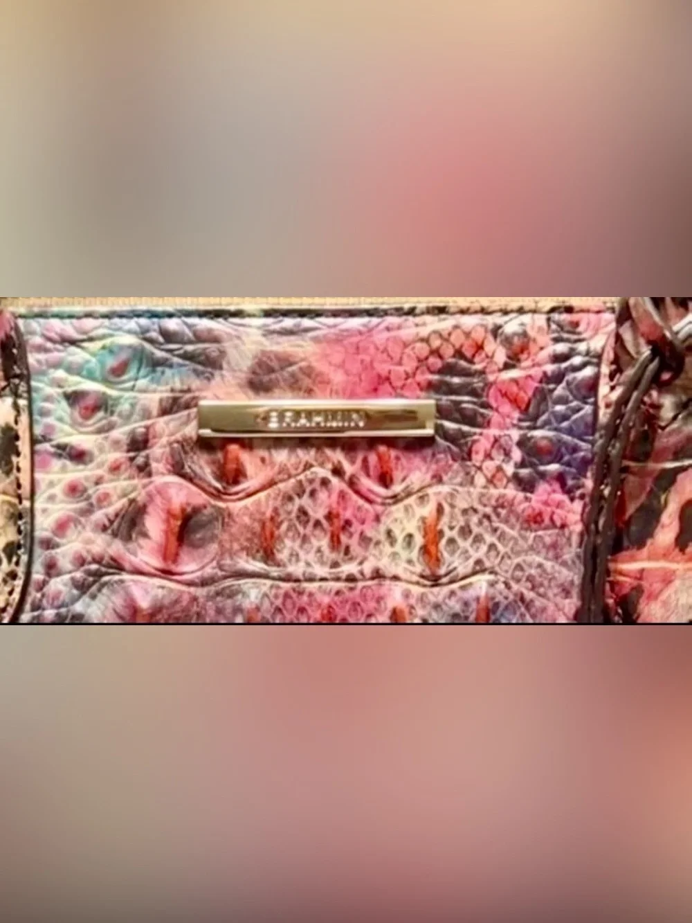 Brahmin like new